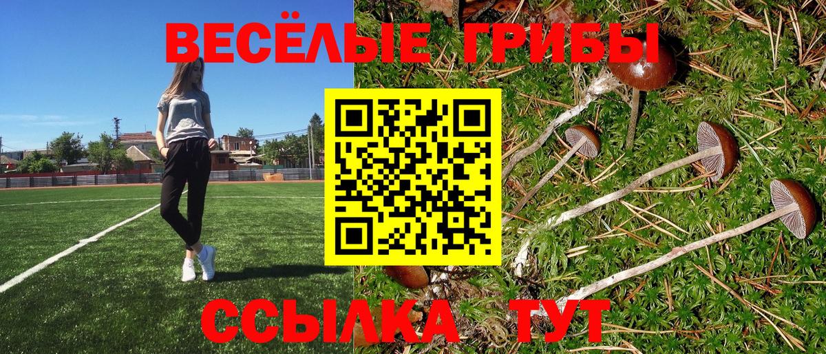 Псилоцибиновые грибы GOLDEN TEACHER Тимашёвск