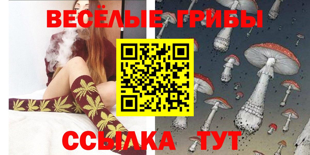 Псилоцибиновые грибы Psilocybine cubensis  Вход с VPN  Тимашёвск 